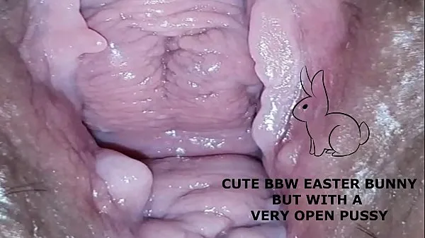 Watch Cute bbw bunny, but with a very open pussy warm Clips