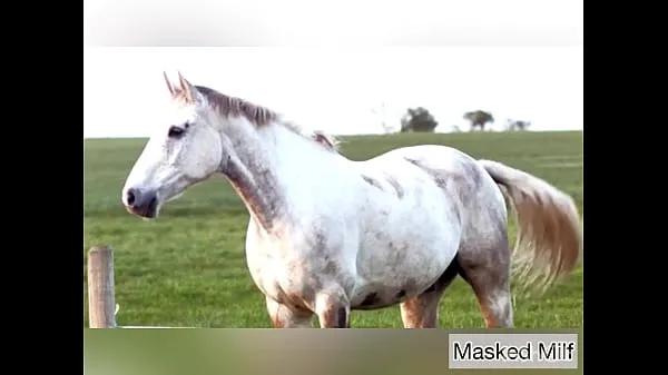 Pozerajte Horny Milf takes giant horse cock dildo compilation | Masked Milf teplé Clips